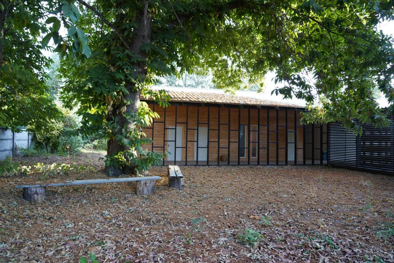 Lantano Hotel Chillán Kültér fotó
