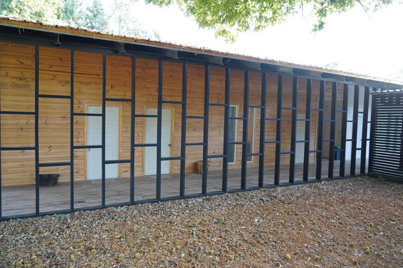 Lantano Hotel Chillán Kültér fotó